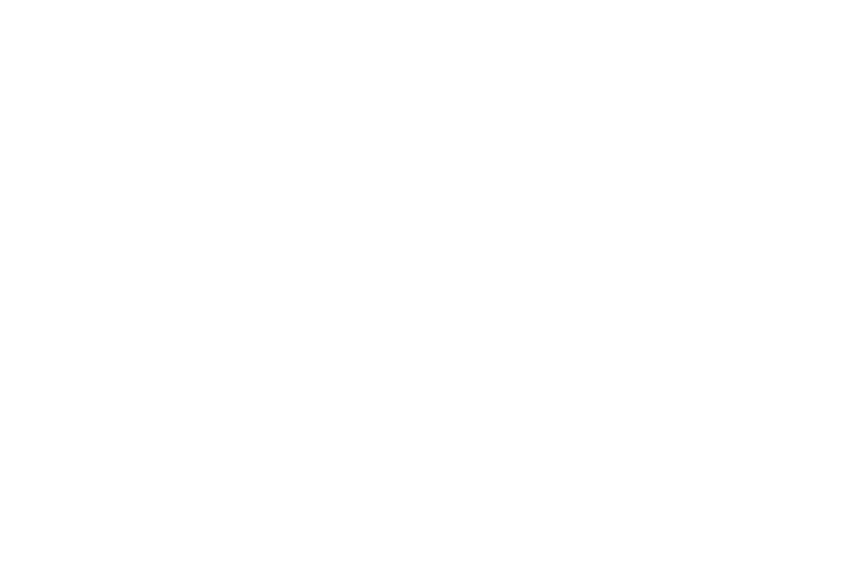 OFFICIAL SELECTION - Louisville Film and Video Festival - 2002