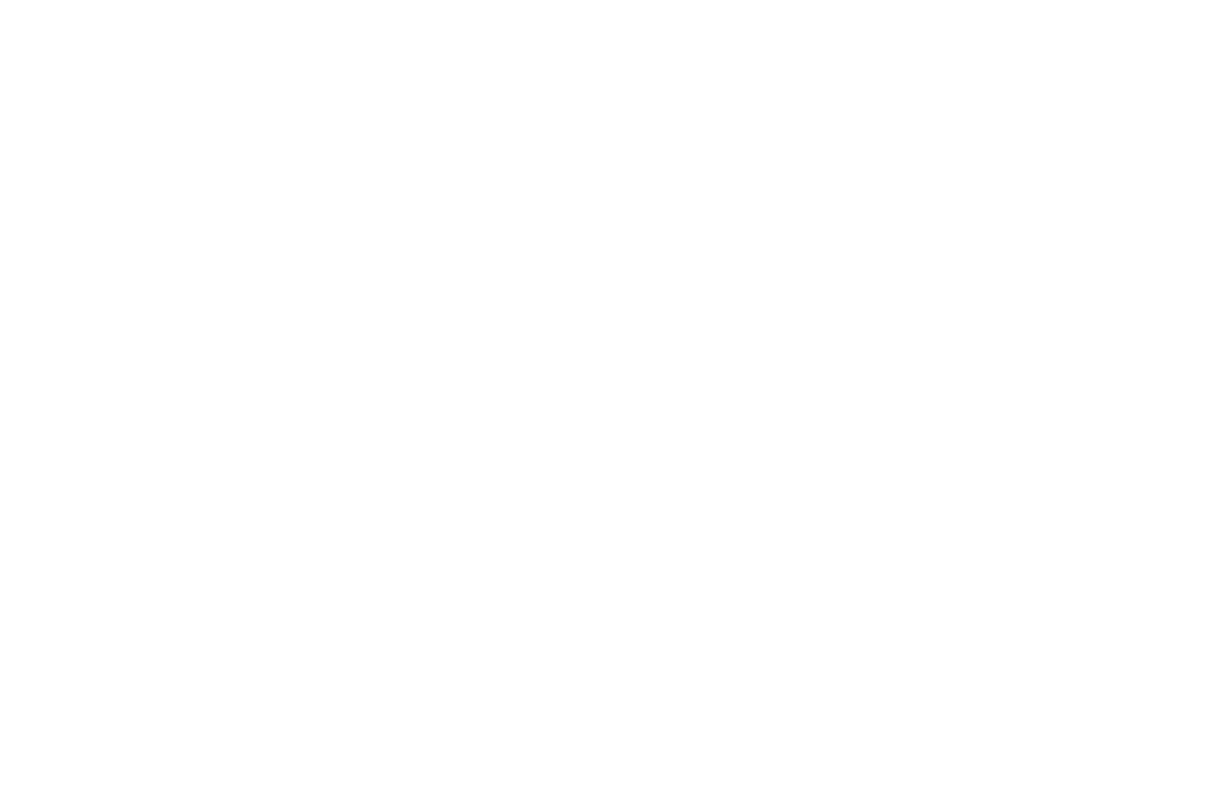 OFFICIAL SELECTION - MoMA Documentary Fortnight - 2002