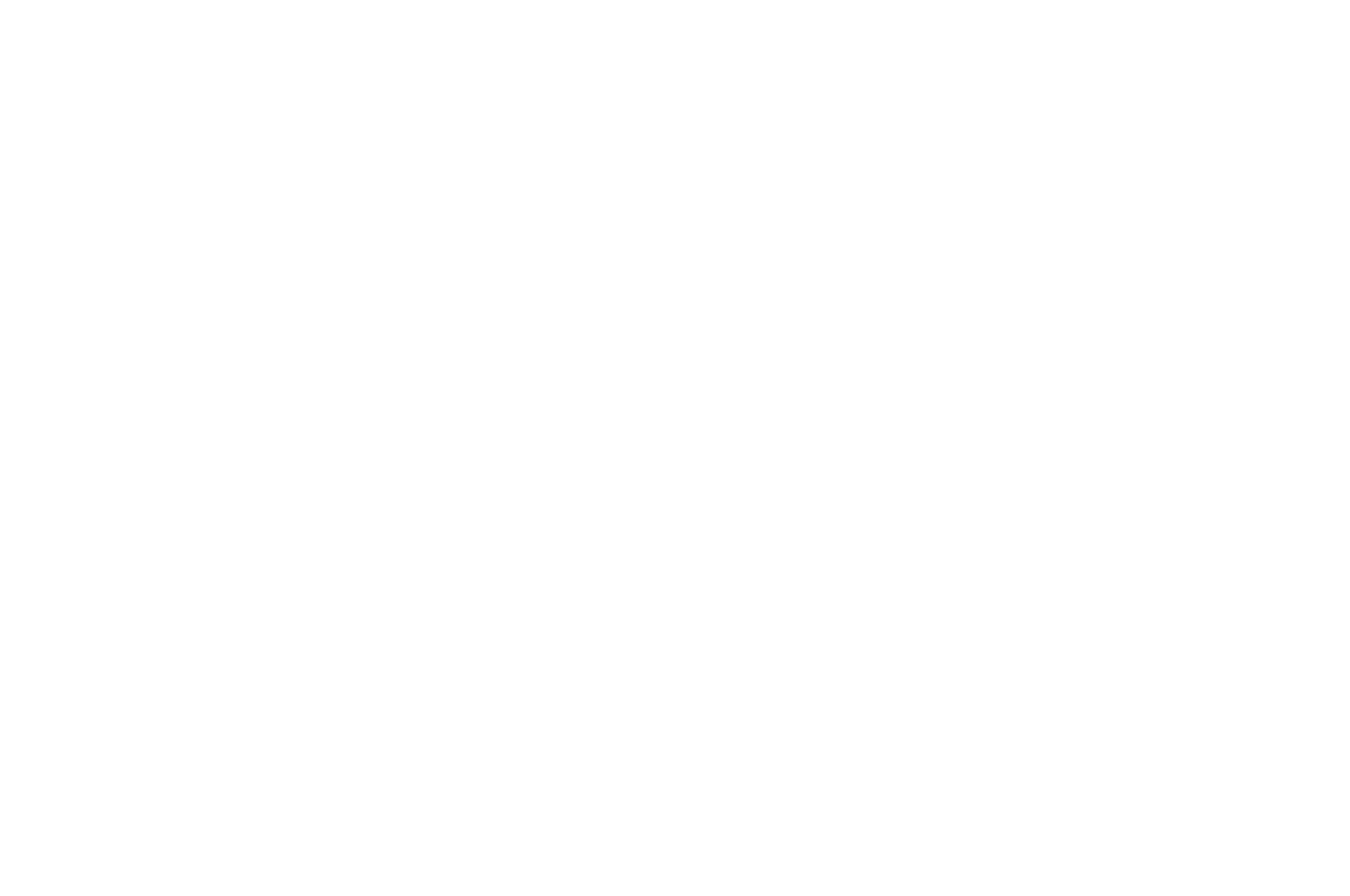 OFFICIAL SELECTION - Southern Circuit - 2012